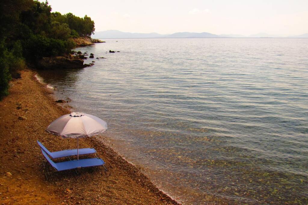 Christie'S Ground Floor Apartment By The Sea Kato Gatzea Dış mekan fotoğraf