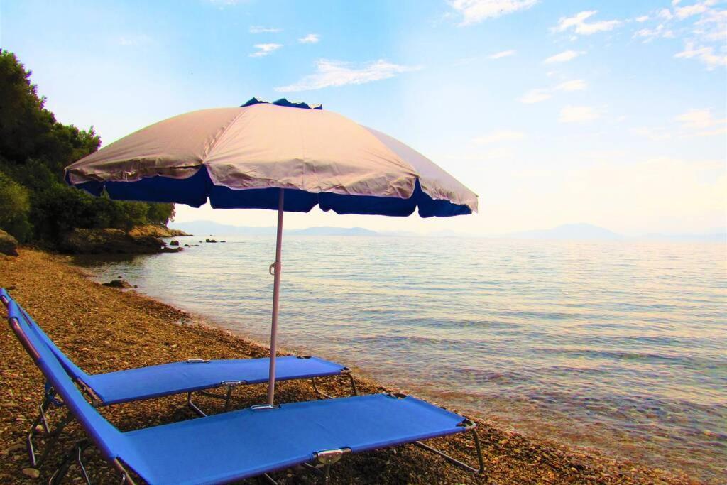 Christie'S Ground Floor Apartment By The Sea Kato Gatzea Dış mekan fotoğraf