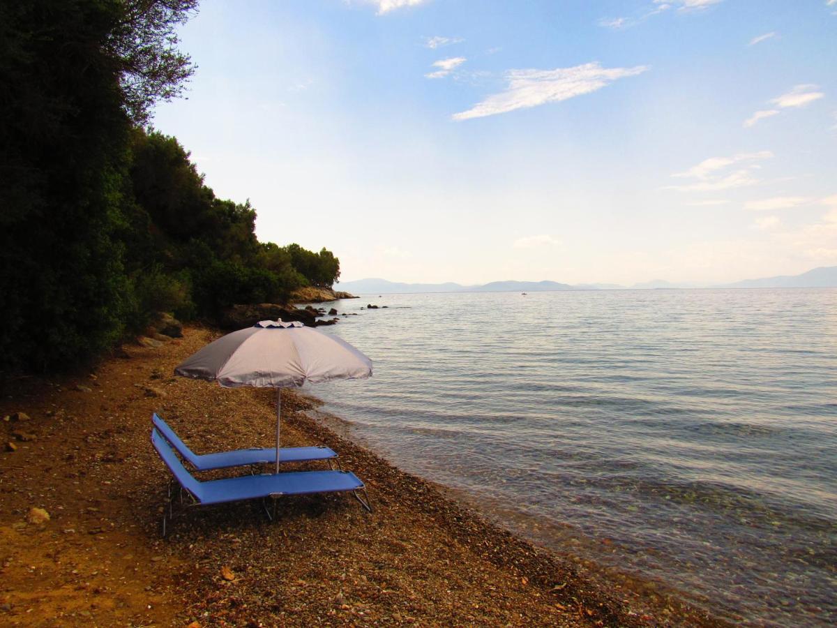 Christie'S Ground Floor Apartment By The Sea Kato Gatzea Dış mekan fotoğraf